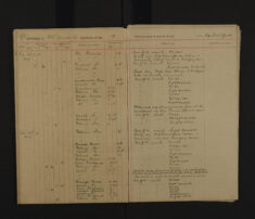 Pages 082-082