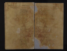 Pages 099-099