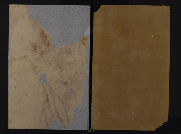 Pages 100a - Cover