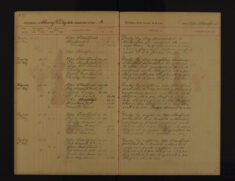 Pages 028-028