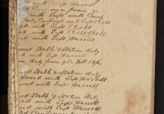 Officers' Journal; E Childs PC 243, Francis L Bolter PC 34