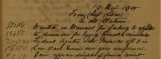 Failed to Appear to Summons For Being Drunk and Disorderly