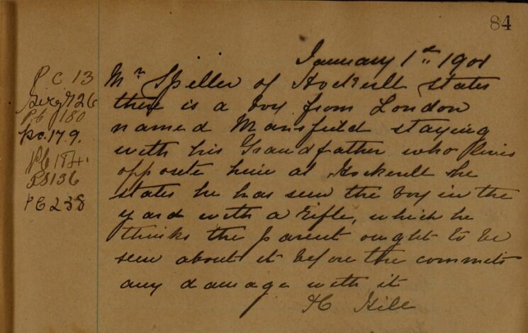 Report of a Boy With a Rifle