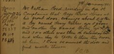 Complaint of Boys Throwing Stones