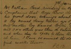 Complaint of Boys Throwing Stones