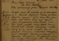 Escaped From an Attendant of a Private Asylum