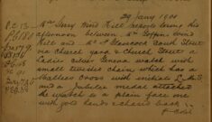 Report of Lost Ladies' Silver Geneva Watch