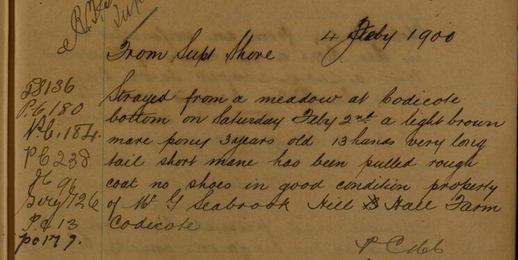 Pony Strayed From Meadow at Codicote Bottom