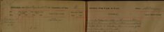 Posted Bills About County Council Elections