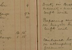 Cautioned Boy Camp and His Mother For Attempting to Obtain Goods by False Pretences