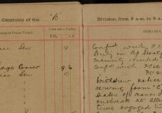 Withdrew Notice Form "B" by Serving Form "C" Upon Farmer Hicks Regarding Swine Fever Outbreak at Allen's Green