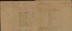 Made Enquiries at Lodging Houses Regarding Organ Mandoline