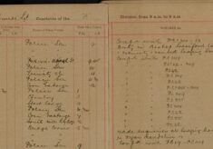 Made Enquiries at Lodging Houses Regarding Organ Mandoline