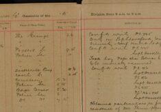 Obtained Particulars Regarding Fire at Mr Flinn's Residence and Prepared Report