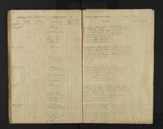 Pages 081-081