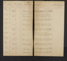 Pages 009-009
