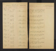 Pages 011-011