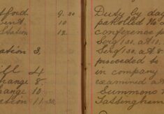Proceeded to Start Hill Farm with Vet Mr Harriss and Examined Roan Mare. Also Served Summons Upon William Lattingham