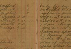 Served Summons Upon Albert Saunders by Leaving it With His Mother. Reported Albert Saunders Aged 12 Years For Damage to Pillar in Cemetery