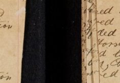 Proceeded to Hatfield With Horse From This Station [Returned] By Railway