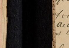 Performed Mounted Duty and Attended Assizes Court as Witness [Against] A.E. Lewis - Arson Case