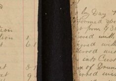Performed Special Duty at County [Court] and Later Took Alfred Thurgood into Custody on Charge of Being Drunk and Disorderly