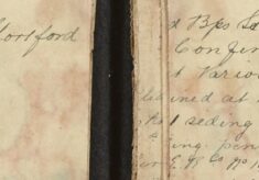 [Examined] Siding, Pens And Trucks For Cleanliness At The G.E.R. Station Following Recent Use