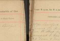 [Duty At] Cattle Market [Issuing] Licences Regarding D.A.A. Also To Issue [  ] Regarding Sheep Dipping Order of 1908