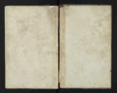 Pages 113a-Blank page