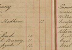 William Johnson At Court