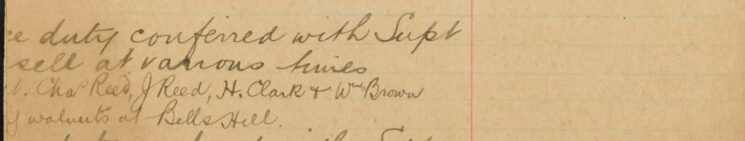 [Caught] Chas Reed, J. Reed, H. Clark and Wm Brown [Stealing] Walnuts at Bells Hill