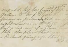Report of Plums Being Stolen From An Orchard