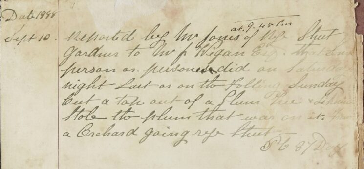 Report of Plums Being Stolen From An Orchard