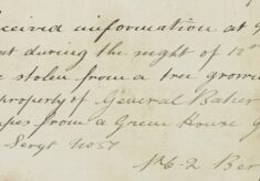 Report of Plums Being Stolen From A Tree And Grapes From A Greenhouse