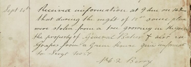 Report of Plums Being Stolen From A Tree And Grapes From A Greenhouse