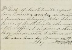 Four Horses Straying In Mr Smith's Meadow