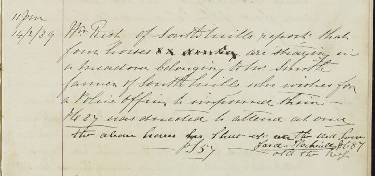 Four Horses Straying In Mr Smith's Meadow