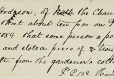 Length Of Troughing Stolen From The Gardener's Cottage