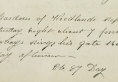 Complaint About A Gang Of Boys Ringing The Gate Bell At Woodlands