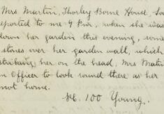 Complaint Of Boys Throwing Stones