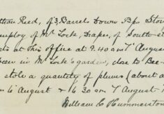 A Peck Of Plums Stolen From Mr Lock's Garden