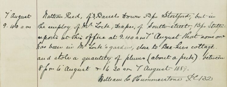 A Peck Of Plums Stolen From Mr Lock's Garden