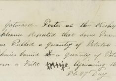 Potatoes Stolen From A Field By The Workhouse