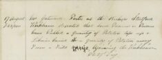 Potatoes Stolen From A Field By The Workhouse