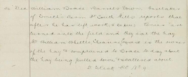 Complaint About Smith's Farm Ponies Scattering Mr Whittle's Hay