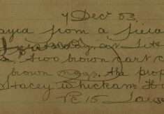 Two Brown Cart Colts and Two Brown Nags Strayed From A Field At Steeple Maulden
