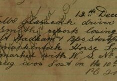 Mackintosh Horse Loin Rug Lost Between Little Hadham And Bishops Stortford