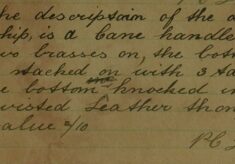 Description of Disputed Lost Whip