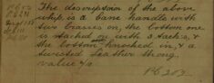Description of Disputed Lost Whip