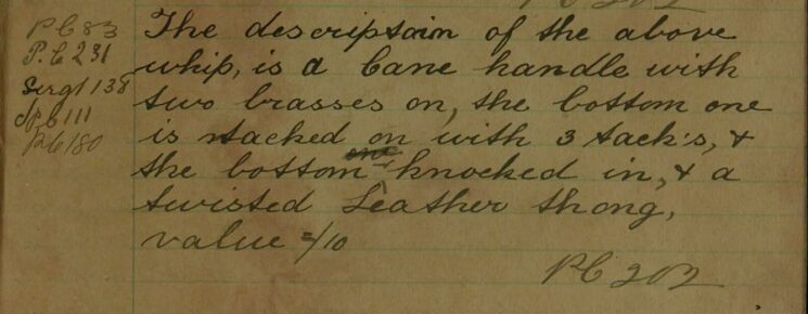 Description of Disputed Lost Whip